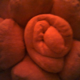 Polštář růže z NanuNana