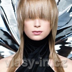 Plavá barva na vlasy