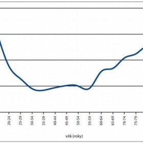 Akutní lymfoblastická leukémie nejen při fn Plzeň - Lochotín
