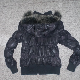 Černá jarní/podzimní bunda Forest