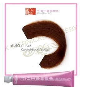 Jak chytá přeliv Loreal Richesse de Diacolor 6.40 na tmavých vlasech