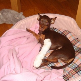 Zlomená noha u Pražského krysaříka