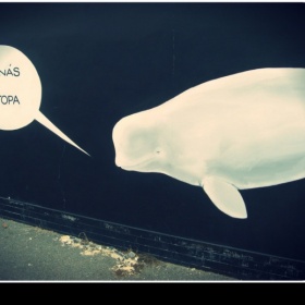 Znáte nějaké pěkné graffiti v Brně nebo Praze?