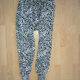 Leopardí aladinky ( haremky) - foto č. 1