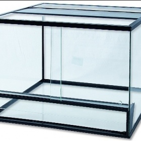 Jak přidělat žárovku v květináči do terária?