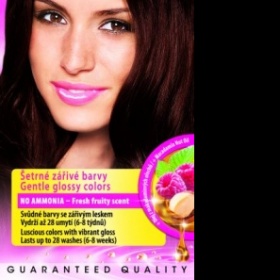 Palette Color a Gloss - odstín Horká čokoláda 3 - 65