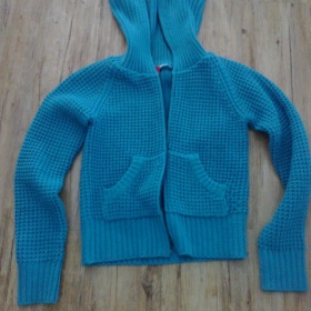Tyrkysový svetřík HaM