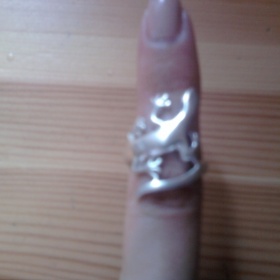 Stříbrný prstýnek ještěrka HaM - foto č. 1