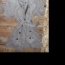 Kabátek s krátkym rukávem šedé farby Philip Russel - foto č. 3