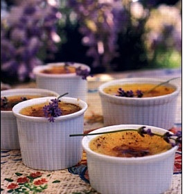 Crème brûlée (krém brylé)