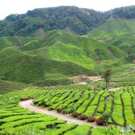 Dokumenty o přírodě, zvířatech a kulturách