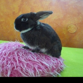 Bezohlednost lidí někdy nemá mezí