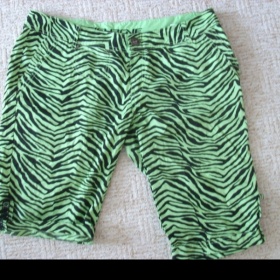 Zeleno - černé kraťasy Fishbone