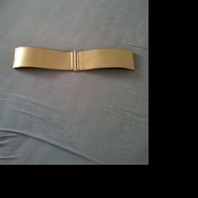 Zlatý pásek - foto č. 1