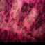 Růžový leopardí šálek - foto č. 3