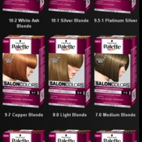 Palette - barva Salon Colors