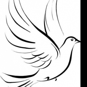 Odstranění bílého tetování