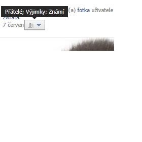Facebook - mohou ostatní vidět, jak mám nastaveno soukromí u jednotlivých příspěvků?