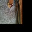 Hnědá kožená crossbody, Marla London - foto č. 2