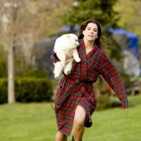 Psík z filmu Návrh