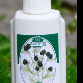 Lopuchový výluh od naděje - kde sehnat?