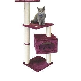 Škrabadlo pro kočku - jaké je nejlepší?