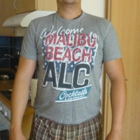 Šedé pánské triko Alcott