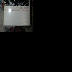 Jakou určit cenu za starší sběratelskou knihu?