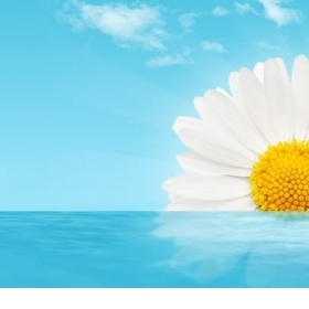 Gynekologická sůl DermaPro