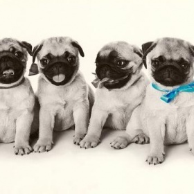 Vaše nejoblíbenější pohledy z postcrossing