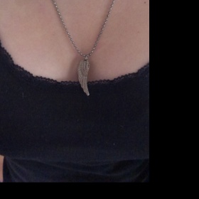 Stříbrný řetízek s křídlem neznačková