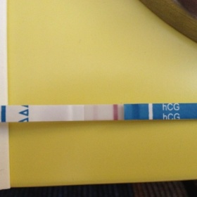 Spolehlivost těhotenského testu Dr. Max