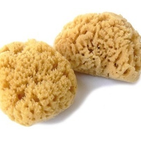 Kosmetická mořská houbička