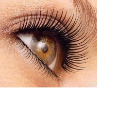 Prodloužení, zahuštění řas Ostrava