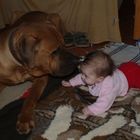 Otravili mi psa a já jsem bezmocná