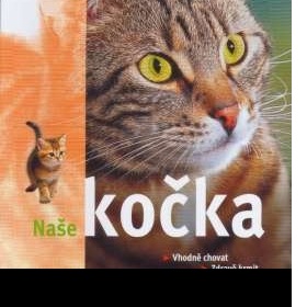 Naše kočka