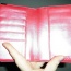 Růžové  perleťové pouzdro na doklady a karty Playboy - foto č. 2