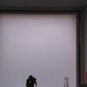 Plíseň v kuchyni z prádla ve vedlejší mísnosti