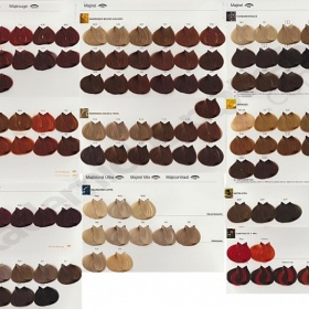 Kadeřnický salon s barvami od L'oreal - jaký mají nejspíš vzorník?