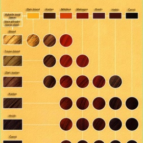 Henna - z myší blond na zrzavou