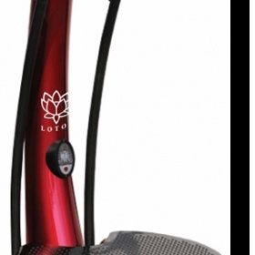 Vibrační plošina VibroGym inSportline Lotos