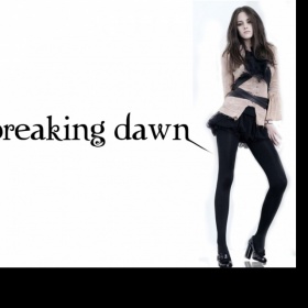 Tylová balonová sukýnka