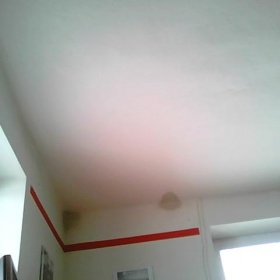 Vlhký strop - plíseň