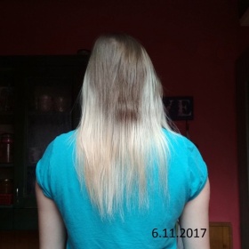 Přírodní šampony