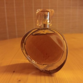 Untold Absolu Elizabeth Arden