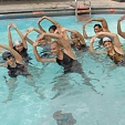 Aqua Zumba 2