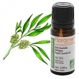 Tea Tree Oil  1
