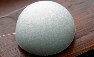 Konjak houba (konjaková houba) 1